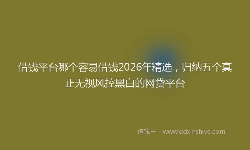 借钱平台哪个容易借钱2026年精选，归纳五个真正无视风控黑白的网贷平台