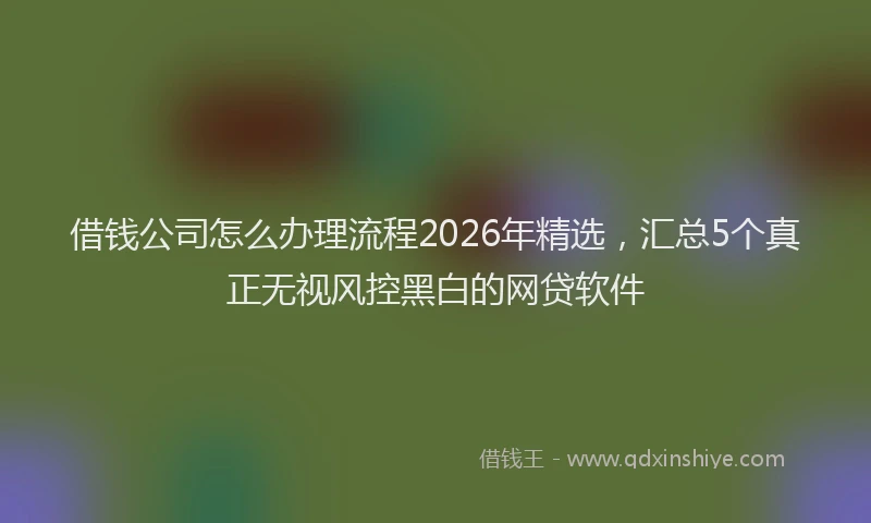借钱公司怎么办理流程2026年精选,汇总5个真正无视风控黑白的网贷软件