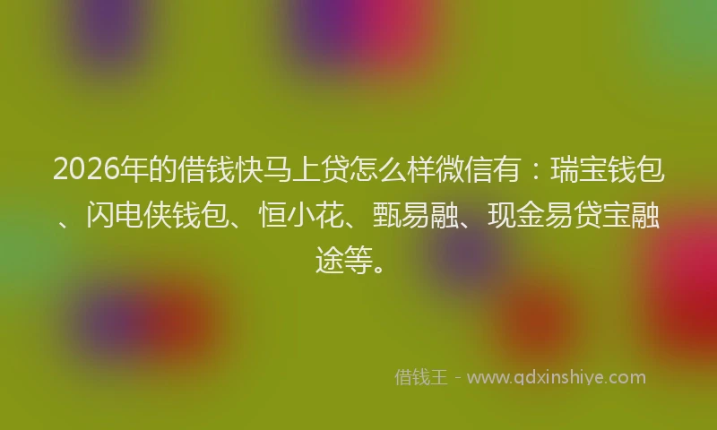2026年的借钱快马上贷怎么样微信有：瑞宝钱包、闪电侠钱包、恒小花、甄易融、现金易贷宝融途等。