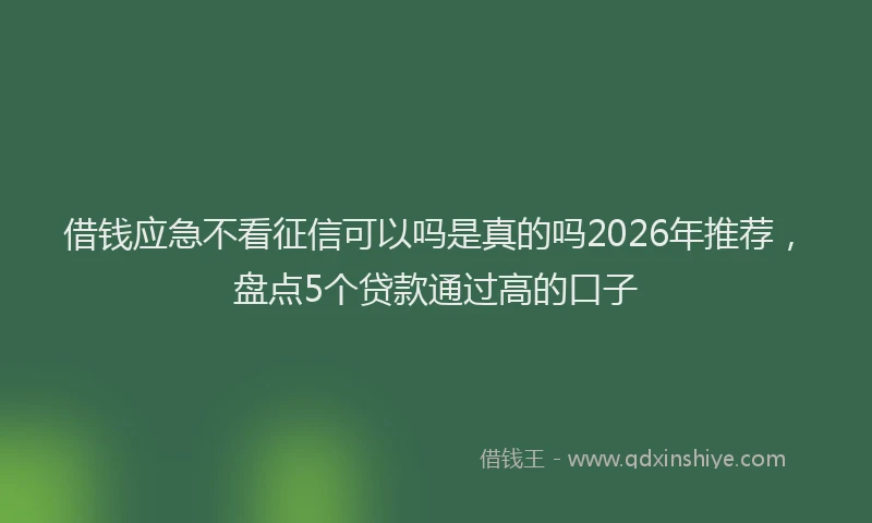 借钱应急不看征信可以吗是真的吗2026年推荐，盘点5个贷款通过高的口子
