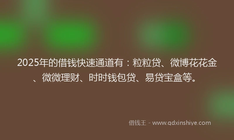 2025年的借钱快速通道有:粒粒贷、微博花花金、微微理财、时时钱包贷、易贷宝盒等。