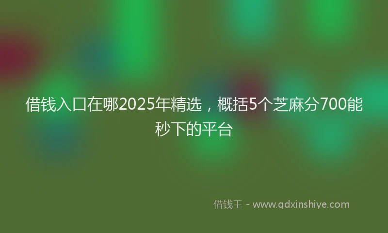 借钱入口在哪2025年精选，概括5个芝麻分700能秒下的平台