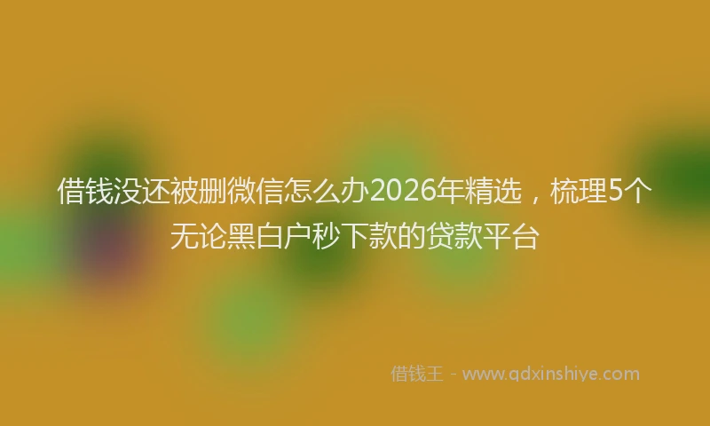 借钱没还被删微信怎么办2026年精选，梳理5个无论黑白户秒下款的贷款平台