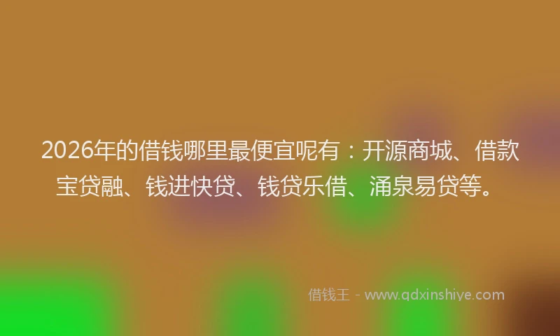 2026年的借钱哪里最便宜呢有：开源商城、借款宝贷融、钱进快贷、钱贷乐借、涌泉易贷等。