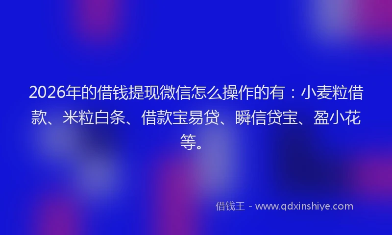 2026年的借钱提现微信怎么操作的有:小麦粒借款、米粒白条、借款宝易贷、瞬信贷宝、盈小花等。
