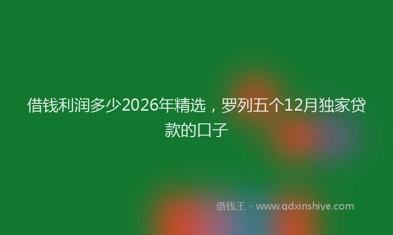 借钱利润多少2026年精选,罗列五个12月独家贷款的口子