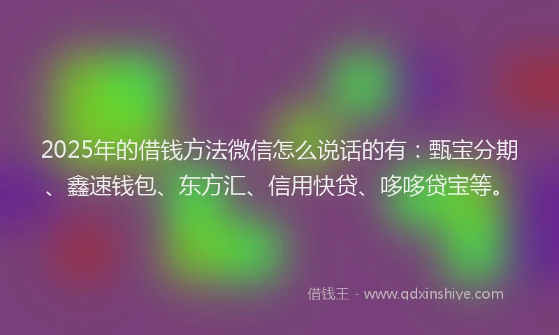 2025年的借钱方法微信怎么说话的有：甄宝分期、鑫速钱包、东方汇、信用快贷、哆哆贷宝等。