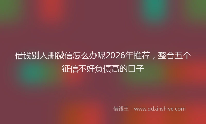 借钱别人删微信怎么办呢2026年推荐，整合五个征信不好负债高的口子