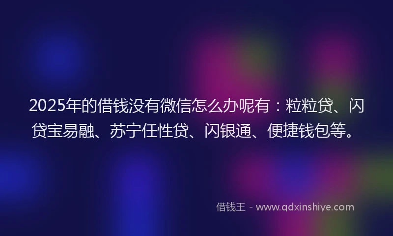 2025年的借钱没有微信怎么办呢有：粒粒贷、闪贷宝易融、苏宁任性贷、闪银通、便捷钱包等。