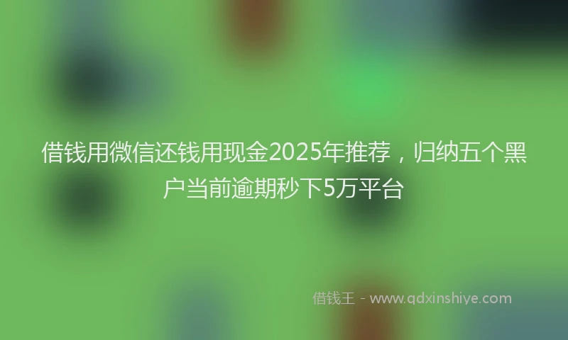 借钱用微信还钱用现金2025年推荐，归纳五个黑户当前逾期秒下5万平台