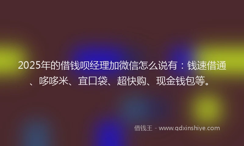 2025年的借钱呗经理加微信怎么说有：钱速借通、哆哆米、宜口袋、超快购、现金钱包等。