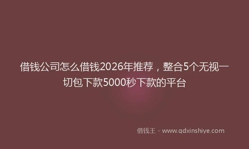 借钱公司怎么借钱2026年推荐,整合5个无视一切包下款5000秒下款的平台