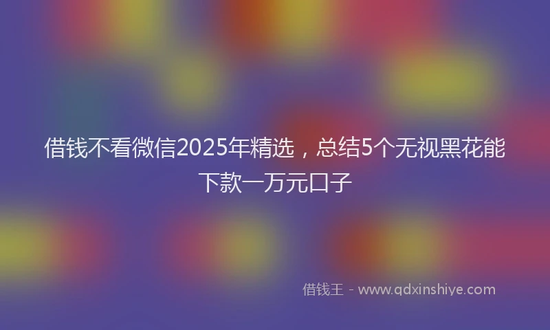 借钱不看微信2025年精选，总结5个无视黑花能下款一万元口子