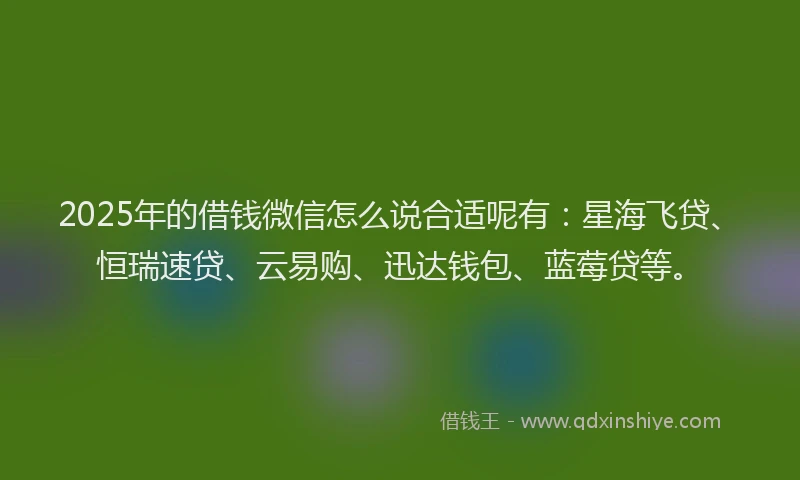 2025年的借钱微信怎么说合适呢有：星海飞贷、恒瑞速贷、云易购、迅达钱包、蓝莓贷等。