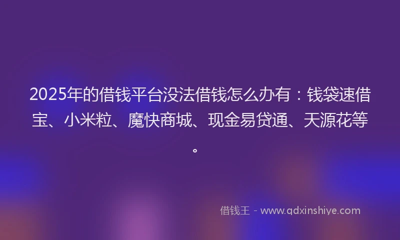 2025年的借钱平台没法借钱怎么办有：钱袋速借宝、小米粒、魔快商城、现金易贷通、天源花等。