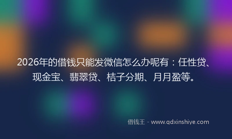 2026年的借钱只能发微信怎么办呢有：任性贷、现金宝、翡翠贷、桔子分期、月月盈等。