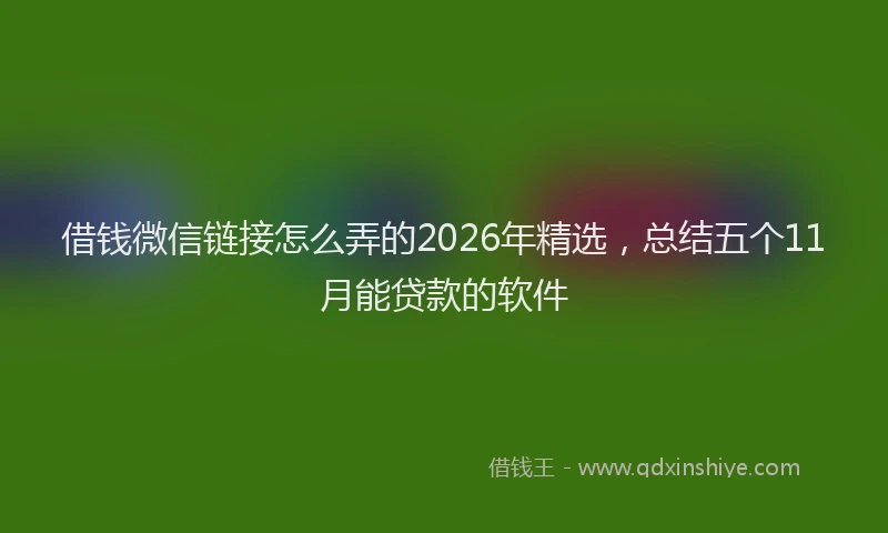 借钱微信链接怎么弄的2026年精选,总结五个11月能贷款的软件