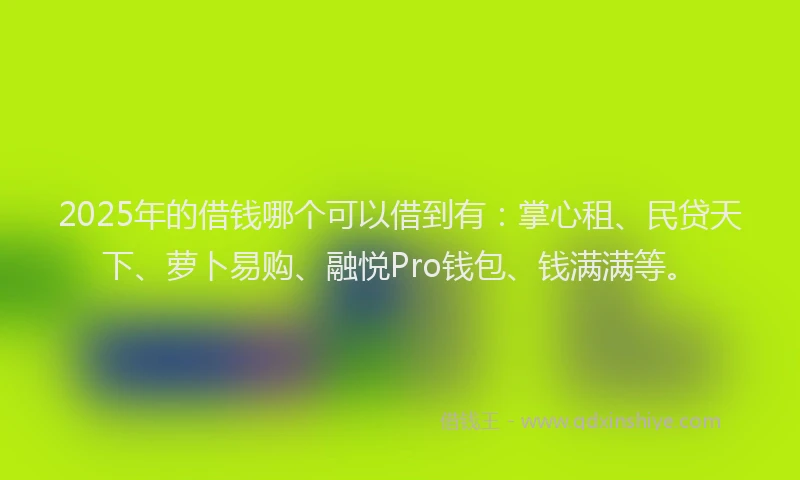2025年的借钱哪个可以借到有:掌心租、民贷天下、萝卜易购、融悦Pro钱包、钱满满等。