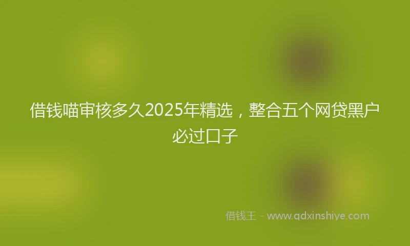 借钱喵审核多久2025年精选，整合五个网贷黑户必过口子
