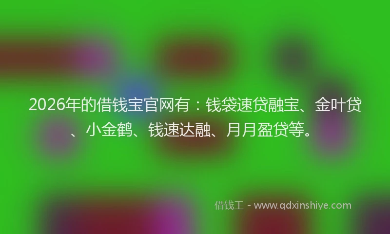 2026年的借钱宝官网有：钱袋速贷融宝、金叶贷、小金鹤、钱速达融、月月盈贷等。