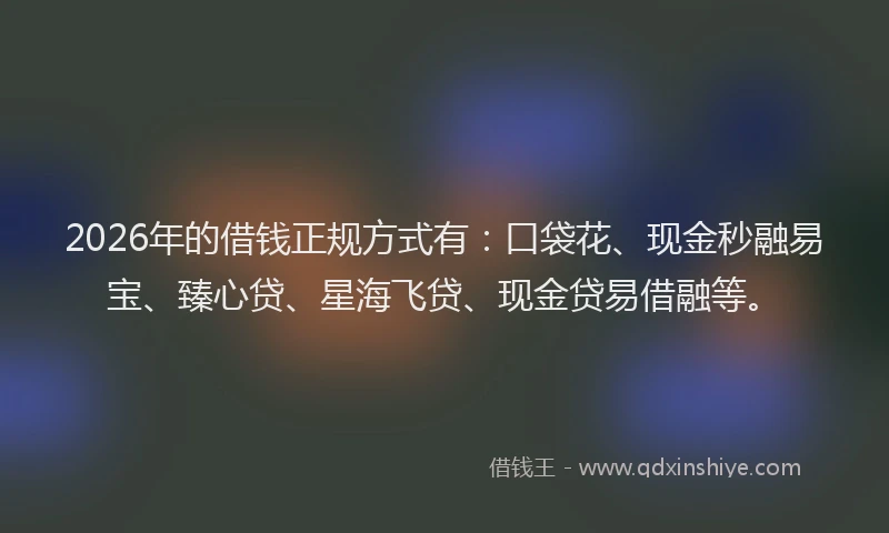 2026年的借钱正规方式有：口袋花、现金秒融易宝、臻心贷、星海飞贷、现金贷易借融等。