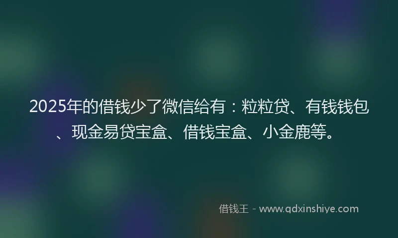 2025年的借钱少了微信给有：粒粒贷、有钱钱包、现金易贷宝盒、借钱宝盒、小金鹿等。
