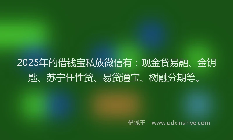 2025年的借钱宝私放微信有：现金贷易融、金钥匙、苏宁任性贷、易贷通宝、树融分期等。