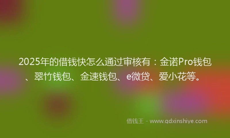 2025年的借钱快怎么通过审核有：金诺Pro钱包、翠竹钱包、金速钱包、e微贷、爱小花等。