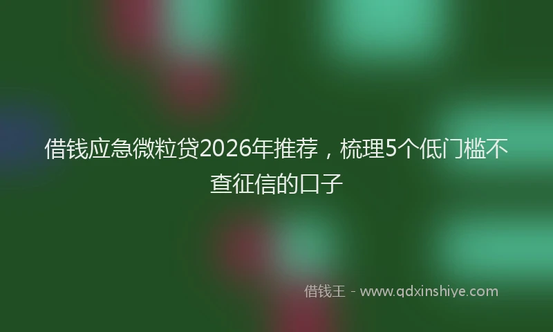 借钱应急微粒贷2026年推荐，梳理5个低门槛不查征信的口子