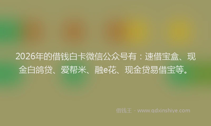 2026年的借钱白卡微信公众号有：速借宝盒、现金白鸽贷、爱帮米、融e花、现金贷易借宝等。