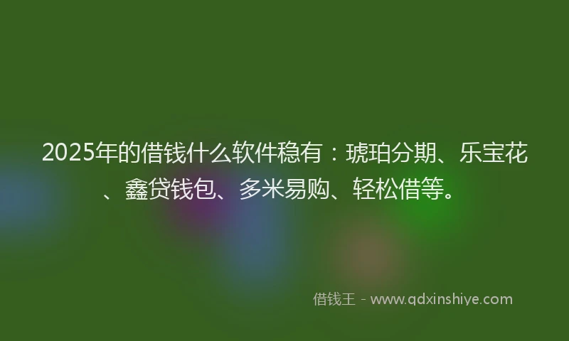 2025年的借钱什么软件稳有:琥珀分期、乐宝花、鑫贷钱包、多米易购、轻松借等。
