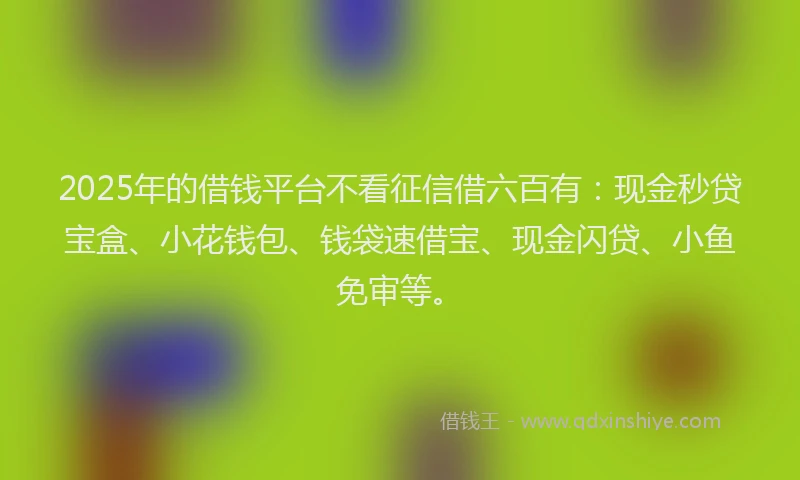 2025年的借钱平台不看征信借六百有:现金秒贷宝盒、小花钱包、钱袋速借宝、现金闪贷、小鱼免审等。
