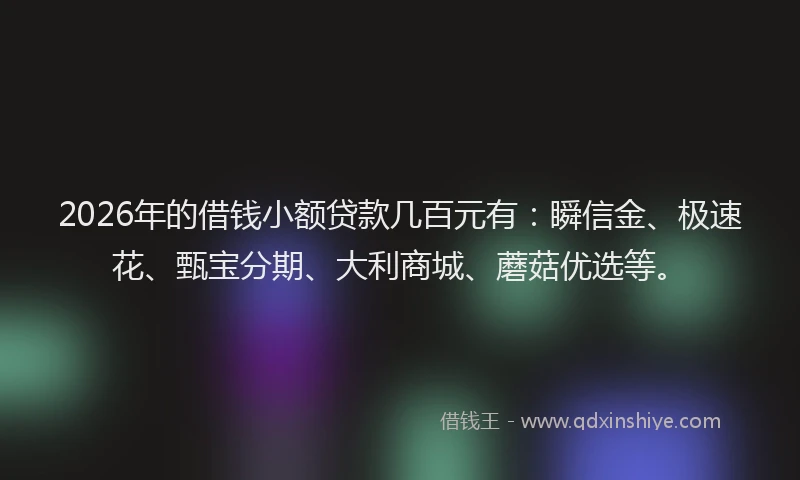2026年的借钱小额贷款几百元有:瞬信金、极速花、甄宝分期、大利商城、蘑菇优选等。