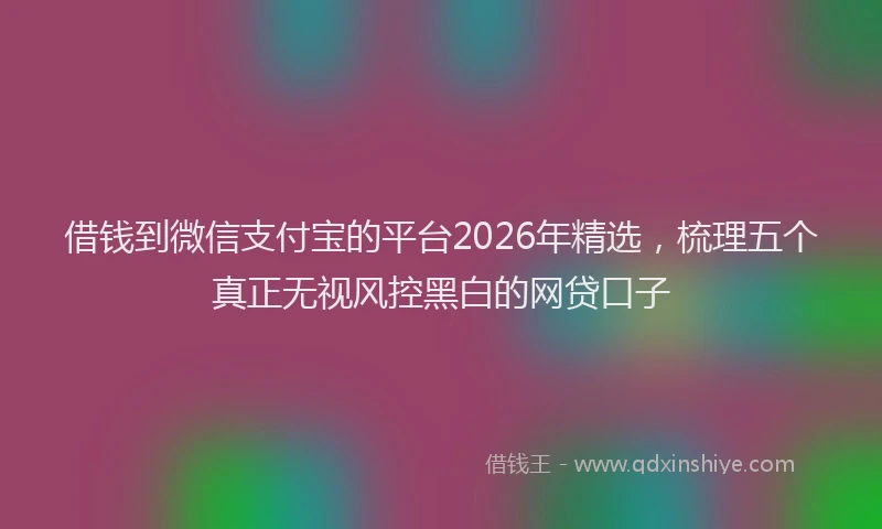 借钱到微信支付宝的平台2026年精选,梳理五个真正无视风控黑白的网贷口子