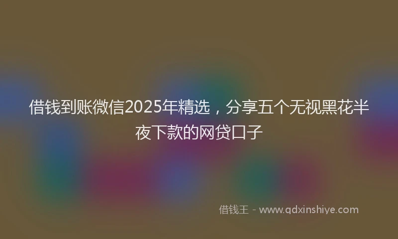 借钱到账微信2025年精选，分享五个无视黑花半夜下款的网贷口子