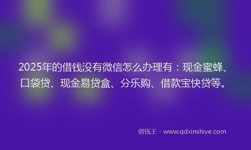 2025年的借钱没有微信怎么办理有：现金蜜蜂、口袋贷、现金易贷盒、分乐购、借款宝快贷等。