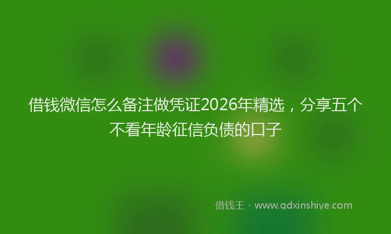 借钱微信怎么备注做凭证2026年精选,分享五个不看年龄征信负债的口子