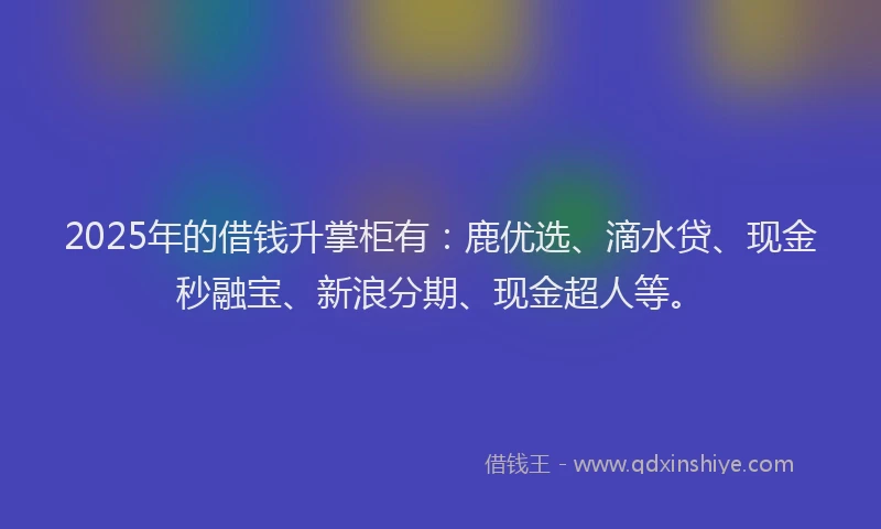 2025年的借钱升掌柜有：鹿优选、滴水贷、现金秒融宝、新浪分期、现金超人等。