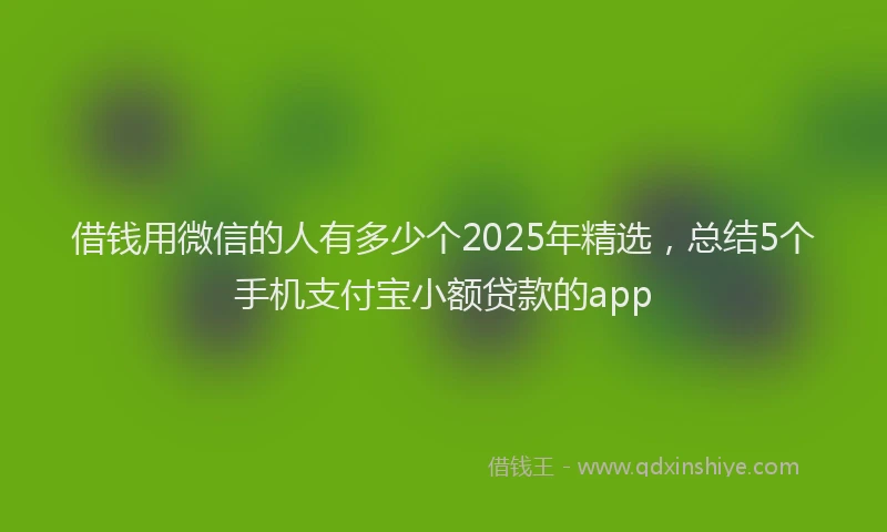 借钱用微信的人有多少个2025年精选，总结5个手机支付宝小额贷款的app