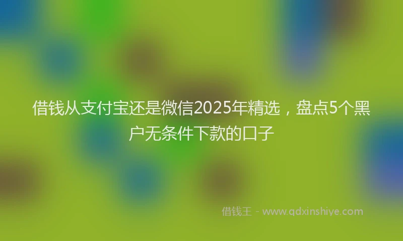 借钱从支付宝还是微信2025年精选，盘点5个黑户无条件下款的口子