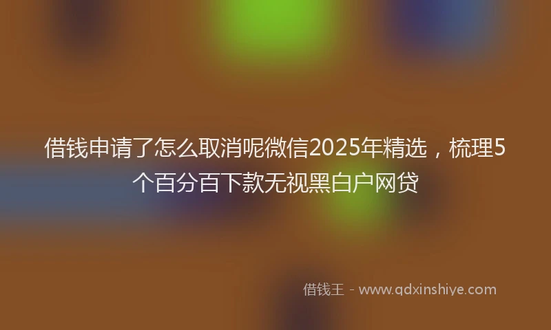 借钱申请了怎么取消呢微信2025年精选，梳理5个百分百下款无视黑白户网贷
