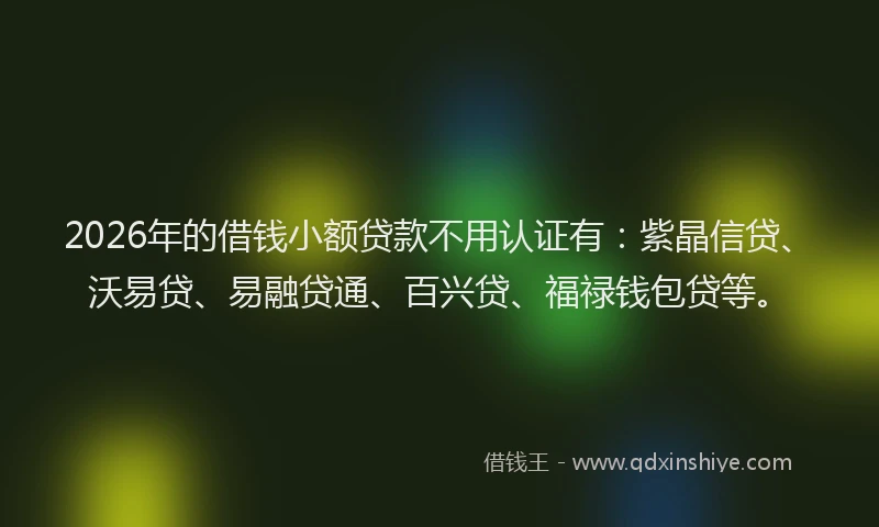 2026年的借钱小额贷款不用认证有：紫晶信贷、沃易贷、易融贷通、百兴贷、福禄钱包贷等。