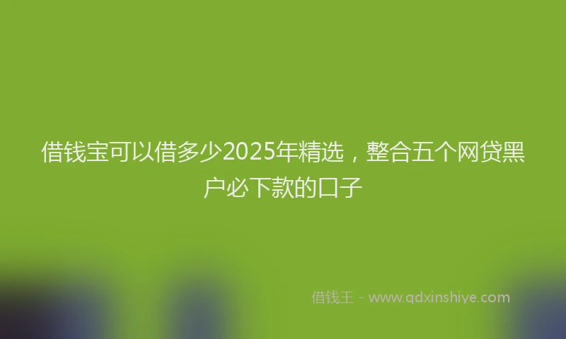 借钱宝可以借多少2025年精选，整合五个网贷黑户必下款的口子