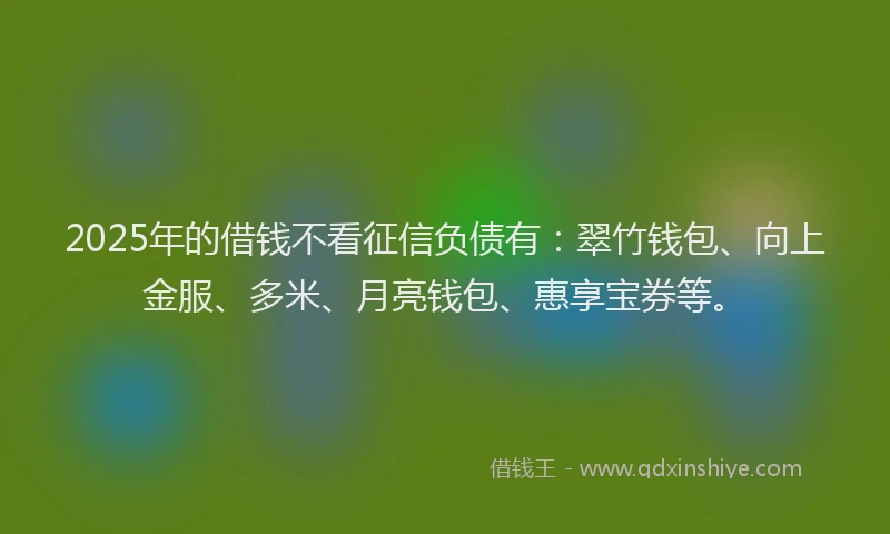 2025年的借钱不看征信负债有:翠竹钱包、向上金服、多米、月亮钱包、惠享宝券等。