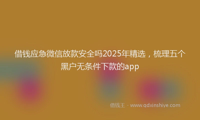 借钱应急微信放款安全吗2025年精选,梳理五个黑户无条件下款的app