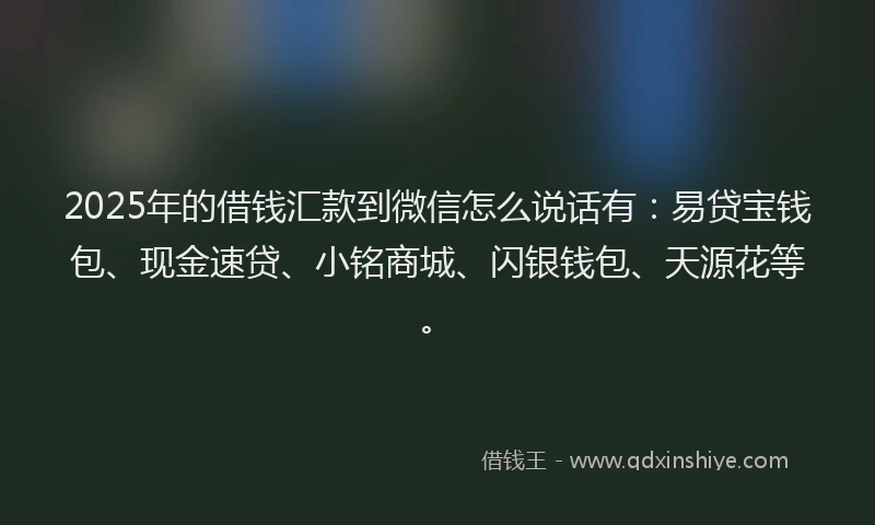 2025年的借钱汇款到微信怎么说话有：易贷宝钱包、现金速贷、小铭商城、闪银钱包、天源花等。