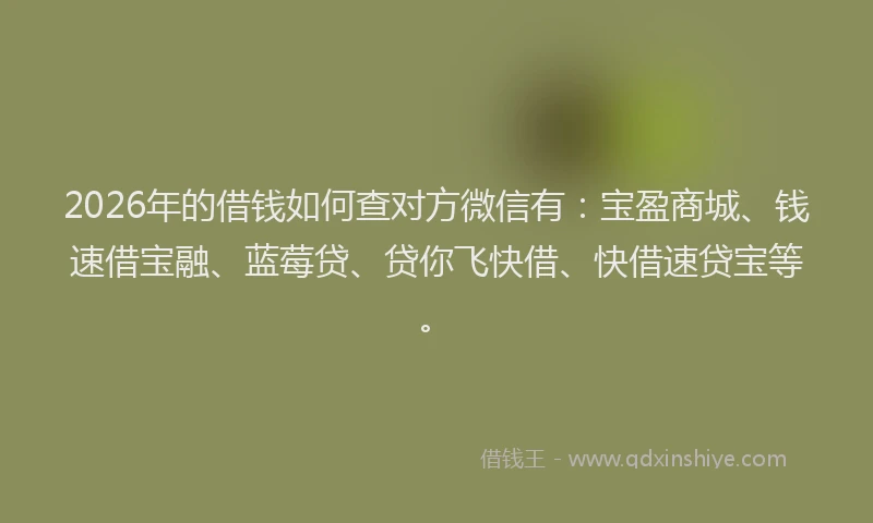 2026年的借钱如何查对方微信有:宝盈商城、钱速借宝融、蓝莓贷、贷你飞快借、快借速贷宝等。