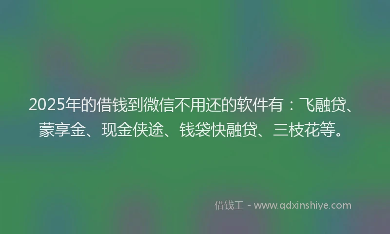 2025年的借钱到微信不用还的软件有:飞融贷、蒙享金、现金侠途、钱袋快融贷、三枝花等。