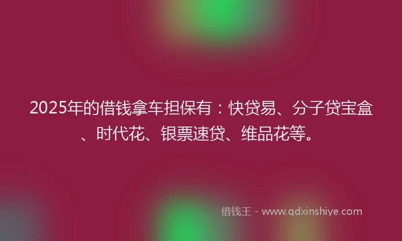 2025年的借钱拿车担保有:快贷易、分子贷宝盒、时代花、银票速贷、维品花等。