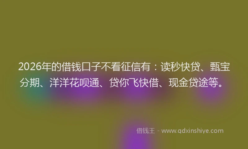 2026年的借钱口子不看征信有：读秒快贷、甄宝分期、洋洋花呗通、贷你飞快借、现金贷途等。